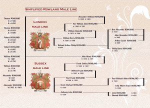 Simplified Rowland male line